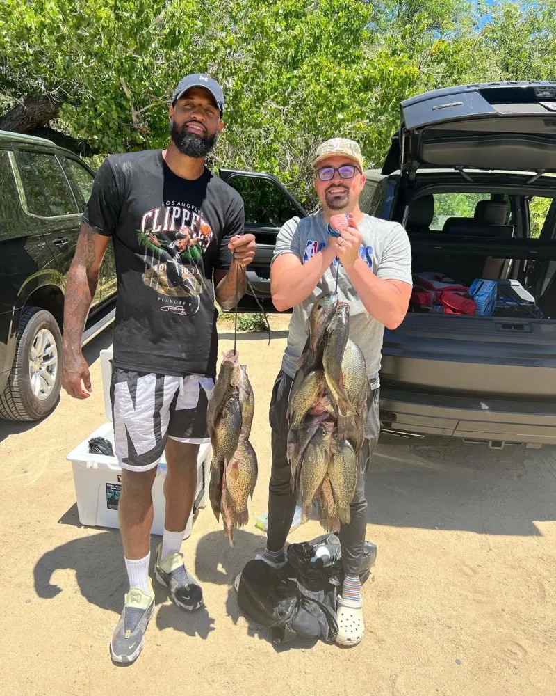 这本身就是 这本身就是