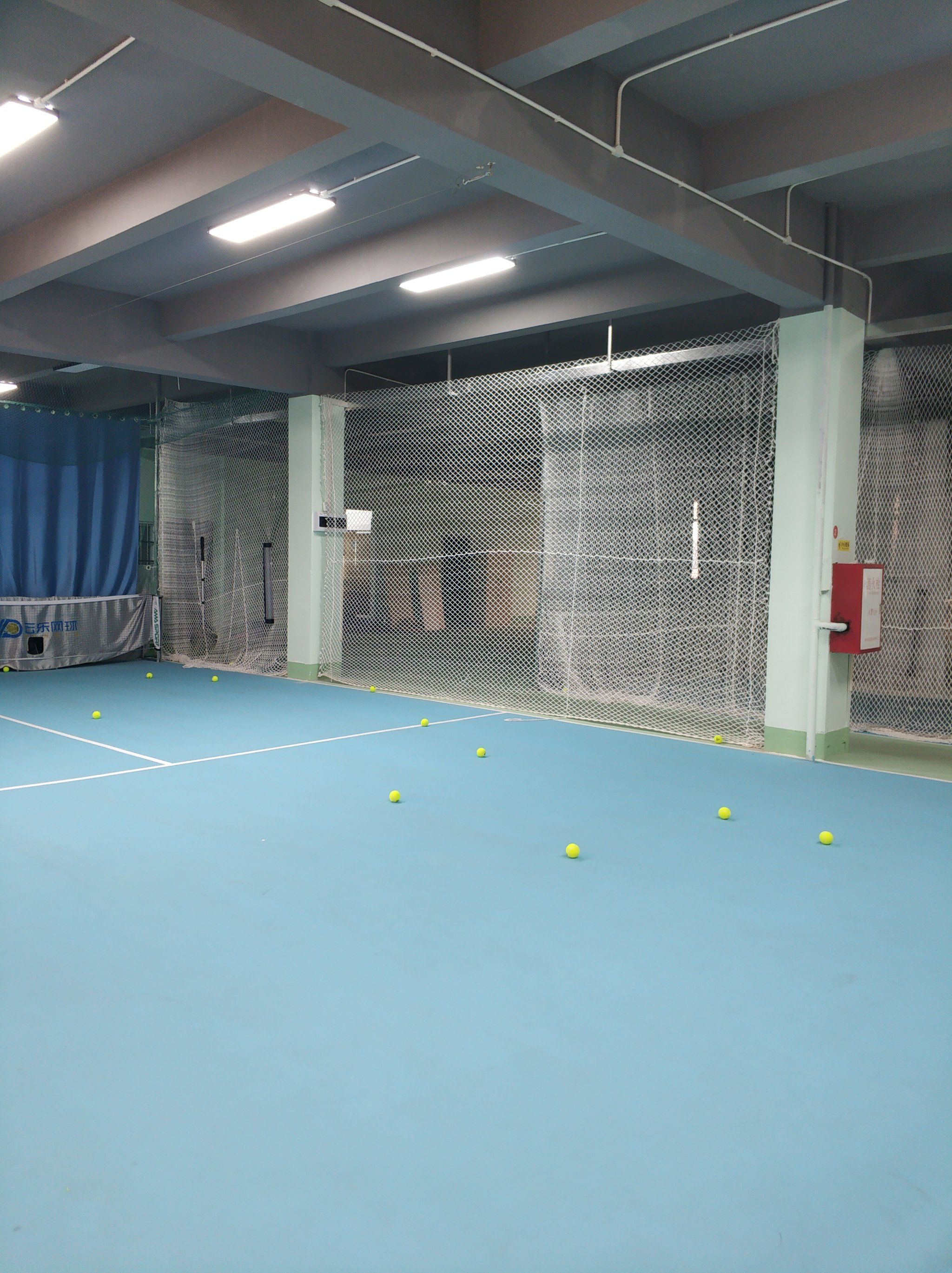 尼亚尔的决 尼亚尔的决